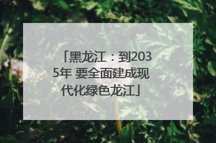 黑龙江：到2035年 要全面建成现代化绿色龙江