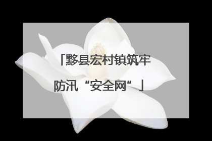 黟县宏村镇筑牢防汛“安全网”