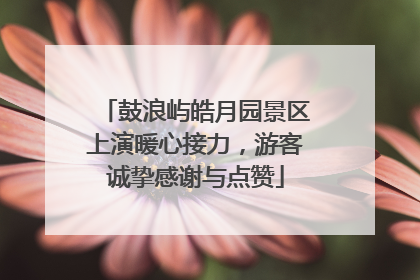 鼓浪屿皓月园景区上演暖心接力，游客诚挚感谢与点赞