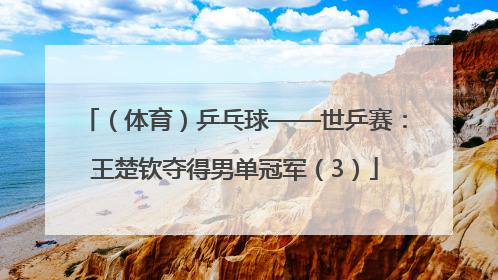 （体育）乒乓球——世乒赛：王楚钦夺得男单冠军（3）