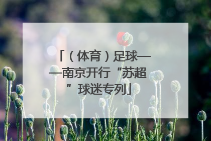 （体育）足球——南京开行“苏超”球迷专列