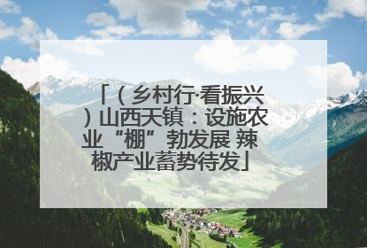 （乡村行·看振兴）山西天镇：设施农业“棚”勃发展 辣椒产业蓄势待发