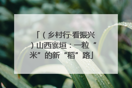 （乡村行·看振兴）山西襄垣：一粒“米”的新“稻”路
