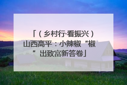 （乡村行·看振兴）山西高平：小辣椒“椒”出致富新答卷