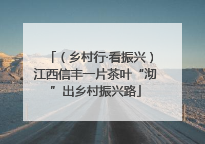（乡村行·看振兴）江西信丰一片茶叶“沏”出乡村振兴路