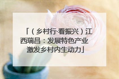 （乡村行·看振兴）江西瑞昌：发展特色产业 激发乡村内生动力