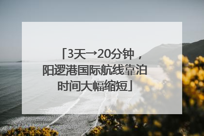 3天→20分钟，阳逻港国际航线靠泊时间大幅缩短