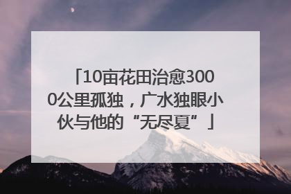 10亩花田治愈3000公里孤独，广水独眼小伙与他的“无尽夏”