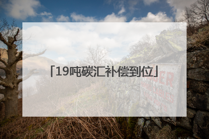 19吨碳汇补偿到位