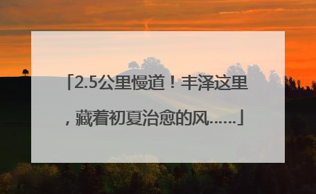 2.5公里慢道！丰泽这里，藏着初夏治愈的风……