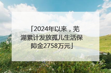2024年以来，芜湖累计发放孤儿生活保障金2758万元