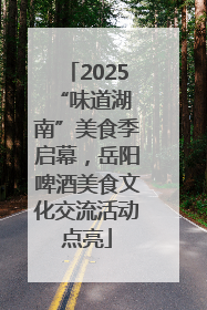 2025 “味道湖南”美食季启幕，岳阳啤酒美食文化交流活动点亮