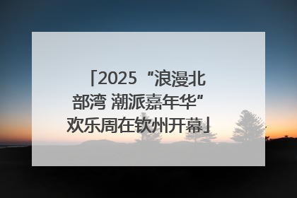 2025“浪漫北部湾 潮派嘉年华”欢乐周在钦州开幕