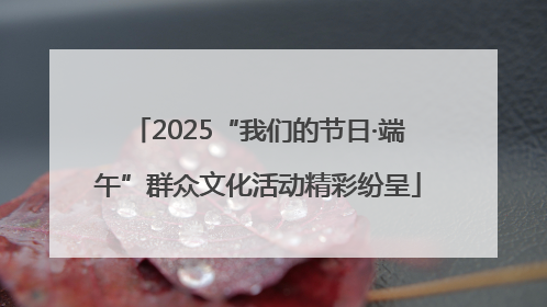 2025“我们的节日·端午”群众文化活动精彩纷呈