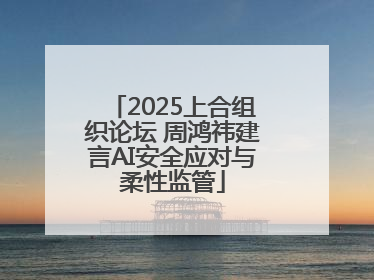 2025上合组织论坛 周鸿祎建言AI安全应对与柔性监管