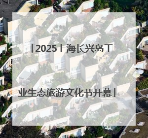 2025上海长兴岛工业生态旅游文化节开幕