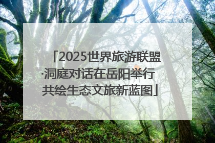 2025世界旅游联盟·洞庭对话在岳阳举行 共绘生态文旅新蓝图