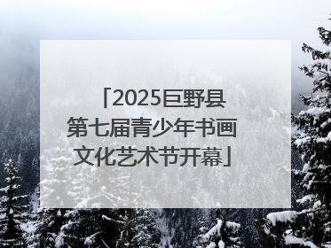 2025巨野县第七届青少年书画文化艺术节开幕