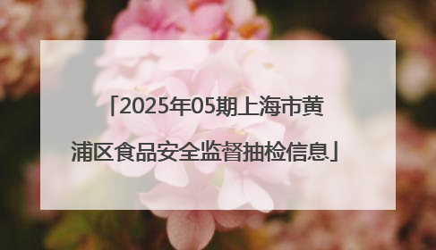 2025年05期上海市黄浦区食品安全监督抽检信息