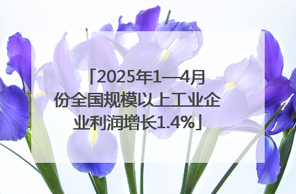 2025年1—4月份全国规模以上工业企业利润增长1.4%