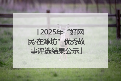 2025年“好网民·在潍坊”优秀故事评选结果公示