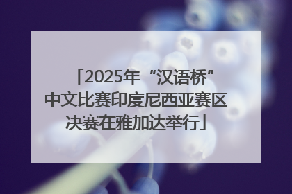 2025年“汉语桥”中文比赛印度尼西亚赛区决赛在雅加达举行