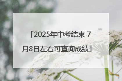 2025年中考结束 7月8日左右可查询成绩