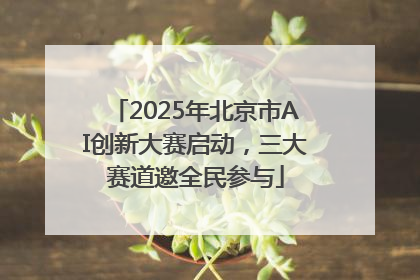 2025年北京市AI创新大赛启动，三大赛道邀全民参与