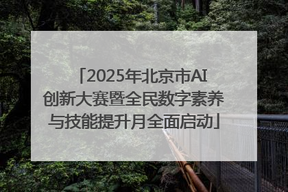 2025年北京市AI创新大赛暨全民数字素养与技能提升月全面启动
