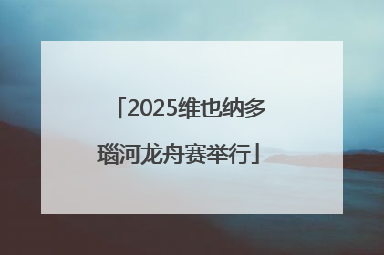 2025维也纳多瑙河龙舟赛举行