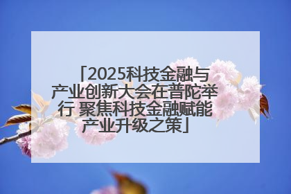 2025科技金融与产业创新大会在普陀举行 聚焦科技金融赋能产业升级之策