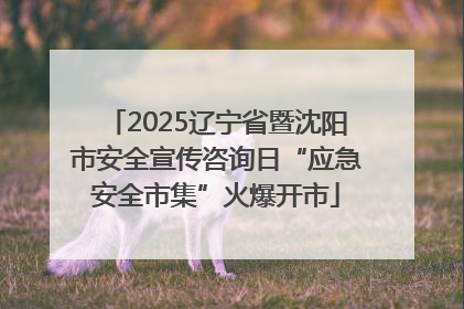 2025辽宁省暨沈阳市安全宣传咨询日“应急安全市集”火爆开市