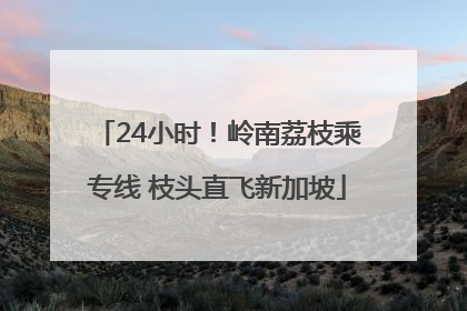 24小时！岭南荔枝乘专线 枝头直飞新加坡