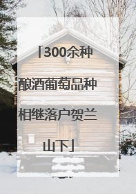 300余种酿酒葡萄品种相继落户贺兰山下