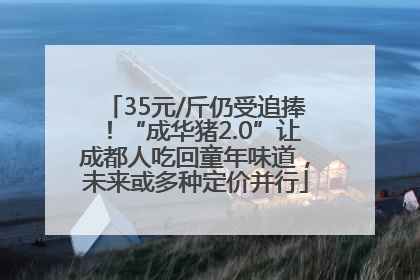 35元/斤仍受追捧！“成华猪2.0”让成都人吃回童年味道，未来或多种定价并行
