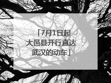 7月1日起 大邑县开行直达武汉的动车