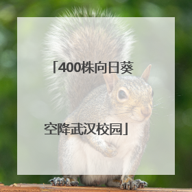 400株向日葵空降武汉校园
