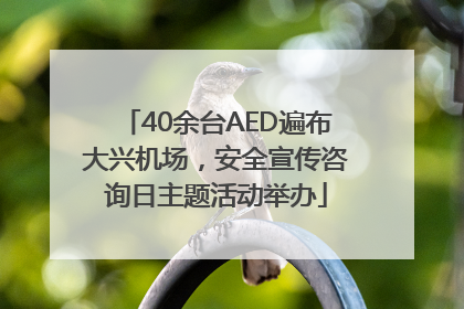 40余台AED遍布大兴机场，安全宣传咨询日主题活动举办