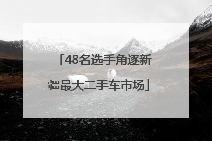 48名选手角逐新疆最大二手车市场