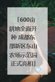600亩耕地全面开种 成都东部新区东山农场示范园正式亮相