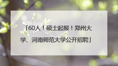 60人！硕士起报！郑州大学、河南师范大学公开招聘