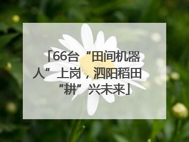 66台“田间机器人”上岗，泗阳稻田“耕”兴未来
