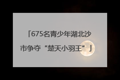 675名青少年湖北沙市争夺“楚天小羽王”