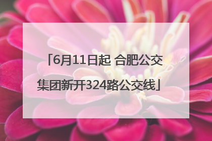 6月11日起 合肥公交集团新开324路公交线