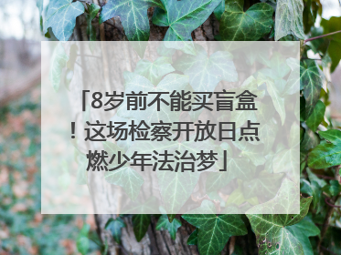 8岁前不能买盲盒！这场检察开放日点燃少年法治梦