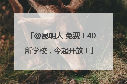 @昆明人 免费！40所学校，今起开放！