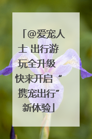 @爱宠人士 出行游玩全升级 快来开启“携宠出行”新体验