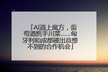 AI遇上魔方，葡萄酒携手川菜……匈牙利和成都碰出意想不到的合作机会