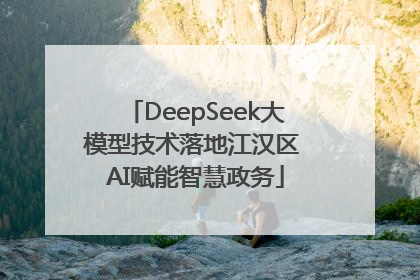 DeepSeek大模型技术落地江汉区 AI赋能智慧政务