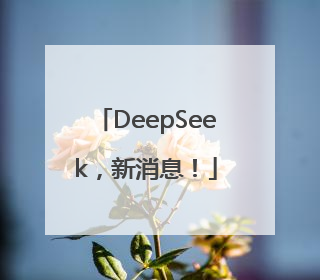 DeepSeek，新消息！
